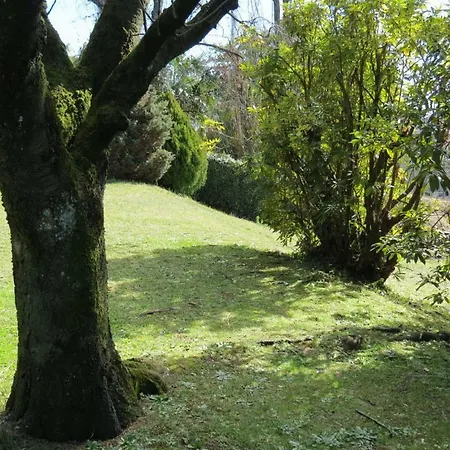 Provenzale Apts *